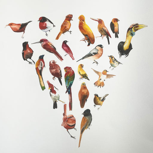 Colour Wheel Section - Orange