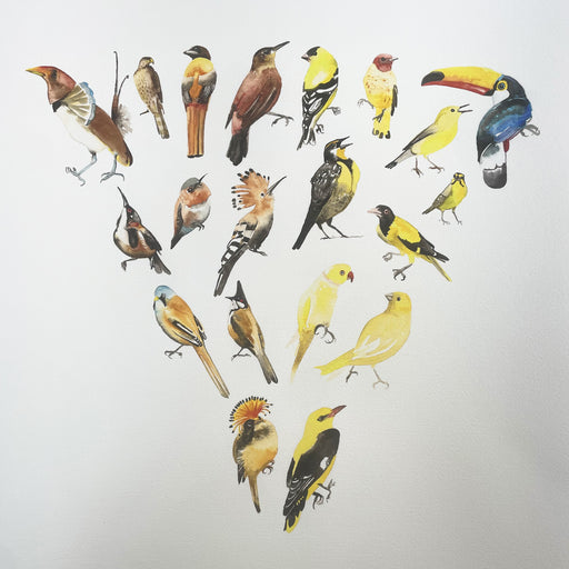 Colour Wheel Section - Yellow