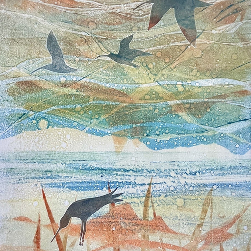 Down in the Shallows