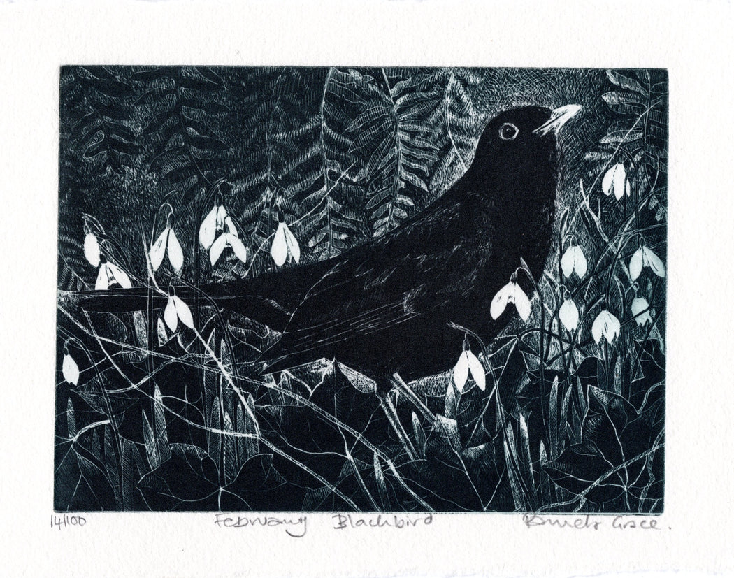 February Blackbird by Pamela Grace | Contemporary Print for sale at The Biscuit Factory