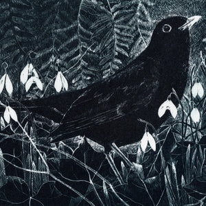 You added <b><u>February Blackbird</u></b> to your cart.