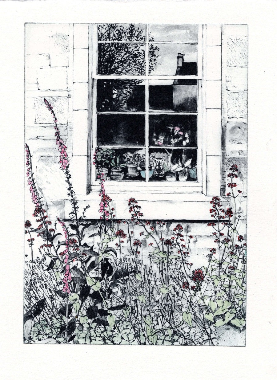 Foxgloves & Valerian by Pamela Grace | Handmade prints for sale at The Biscuit Factory Newcastle