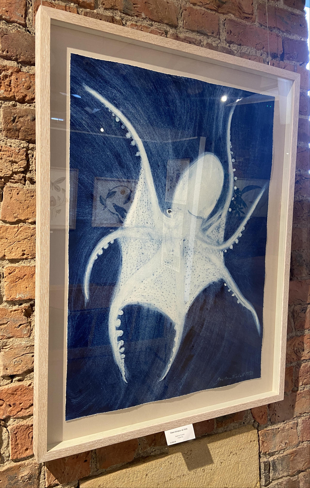 Glass Octopus