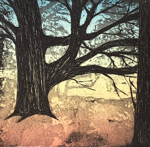 Grand Old Oak by Catherine Williams | Contemporary Etching for sale at The Biscuit Factory Newcastle