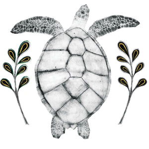 You added <b><u>Hawksbill Turtle</u></b> to your cart.