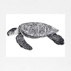 You added <b><u>Hawksbill Turtle II</u></b> to your cart.