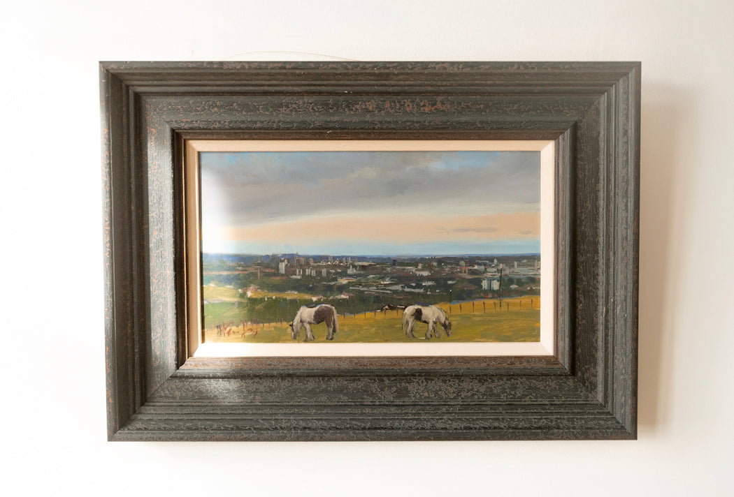 Horses & A City Study