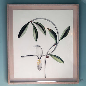 You added <b><u>Javan Green Magpie</u></b> to your cart.