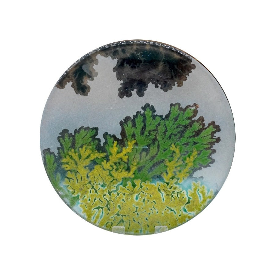 Large Round Dish by Botanical Glass | Contemporary Glassware for sale at the Biscuit Factory Newcastle 