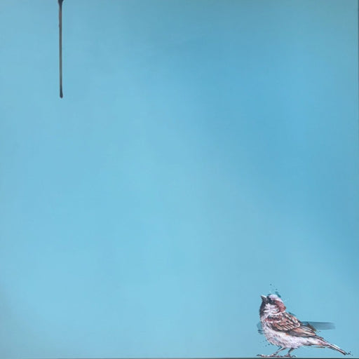 Little Sparrow