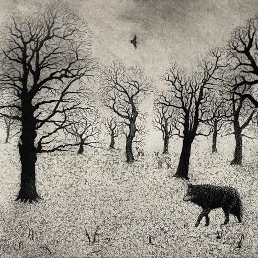 Lone Wolf by Tim Southall, a limited edition monochrome art print of a wolf in a wood.