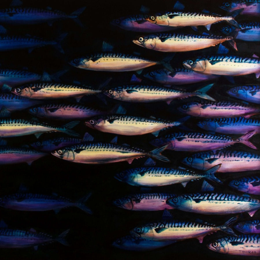 Mackerel Shoal XL by Andrew Tyzack | Contemporary Wildlife painting for sale at The Biscuit Factory Newcastle 
