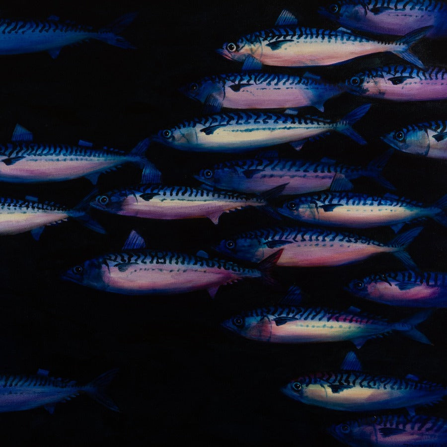 Mackerel Shoal XXXIX by Andrew Tyzack | Contemporary Animal Painting for sale at The Biscuit Factory Newcastle 
