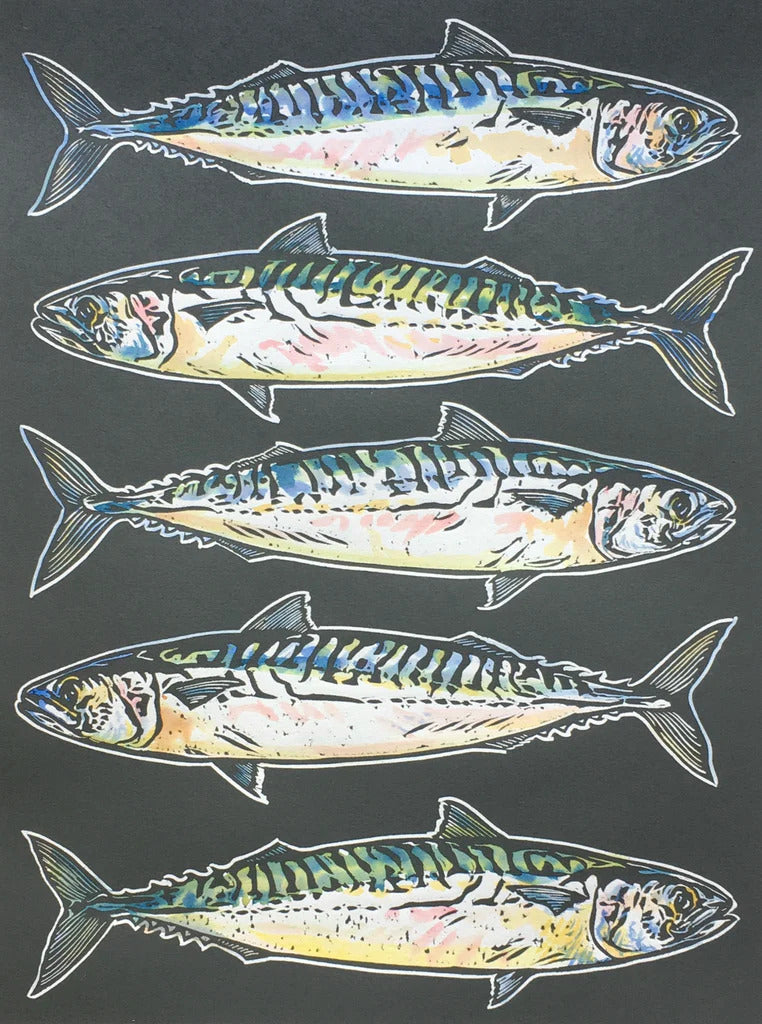 Mackerel