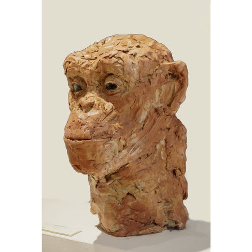 Monkey Head by Zoe Robinson | Contemporary Wire Sculpture for sale at The Biscuit Factory Newcastle 