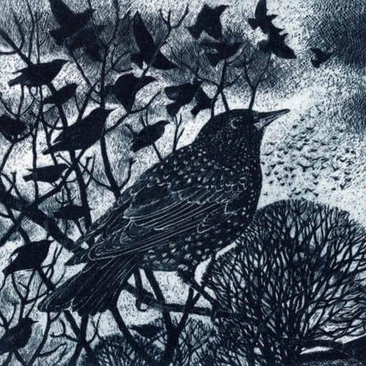 Murmuration by Pamela Grace | Contemporary Prints for sale at The Biscuit Factory Newcastle 