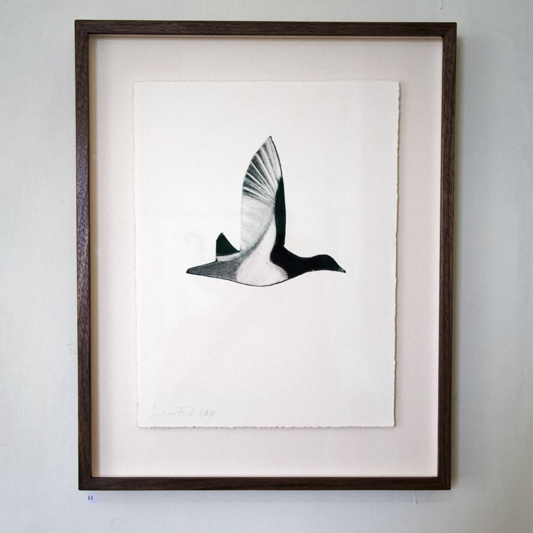 Over the Flow Country