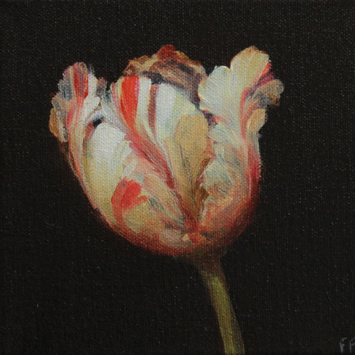 Tulip Study VII by Fletcher Prentice | Contemporary Painting for sale at The Biscuit Factory Newcastle 