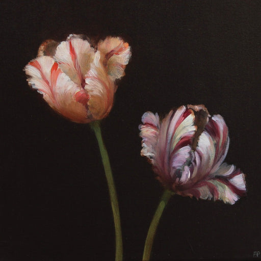 Parrot Tulips on Black by Fletcher Prentice | Contemporary Floral Study paintings for sale at The Biscuit Factory Newcastle 