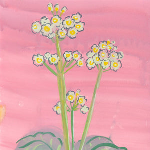 You added <b><u>Primula Japonica on Pink</u></b> to your cart.
