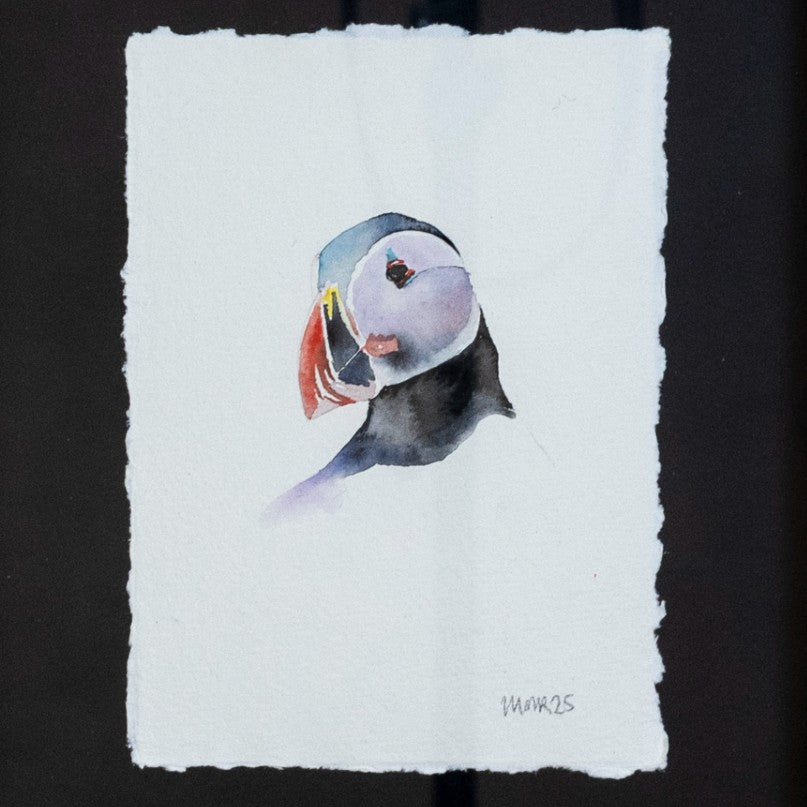 Puffin III