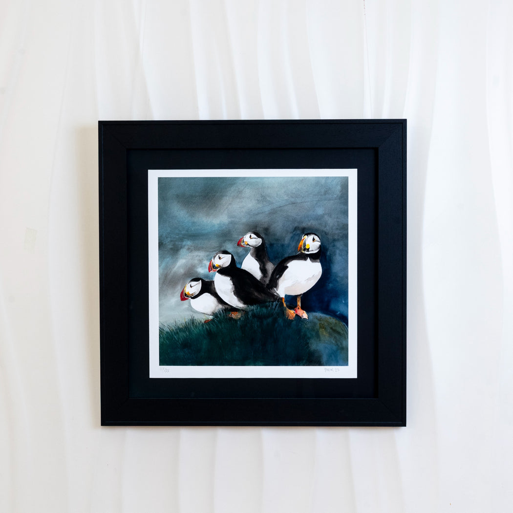 Puffins