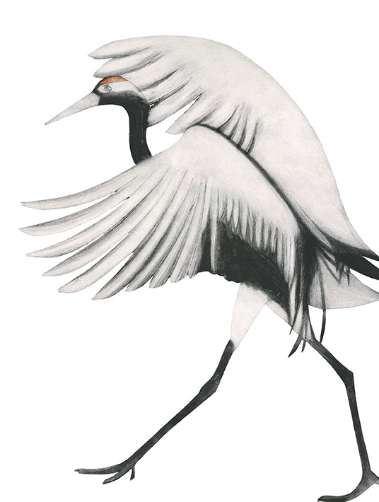 Red-Crowned Crane