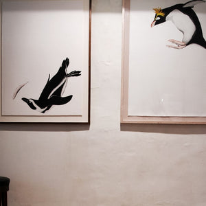 You added <b><u>Northern Rockhopper Penguin</u></b> to your cart.