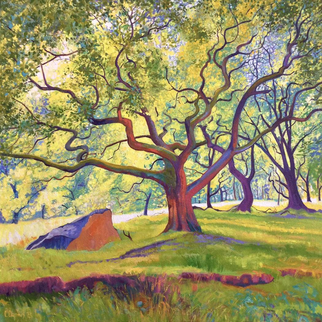 Colorful painting of a large tree in a forest with a rock and grass.