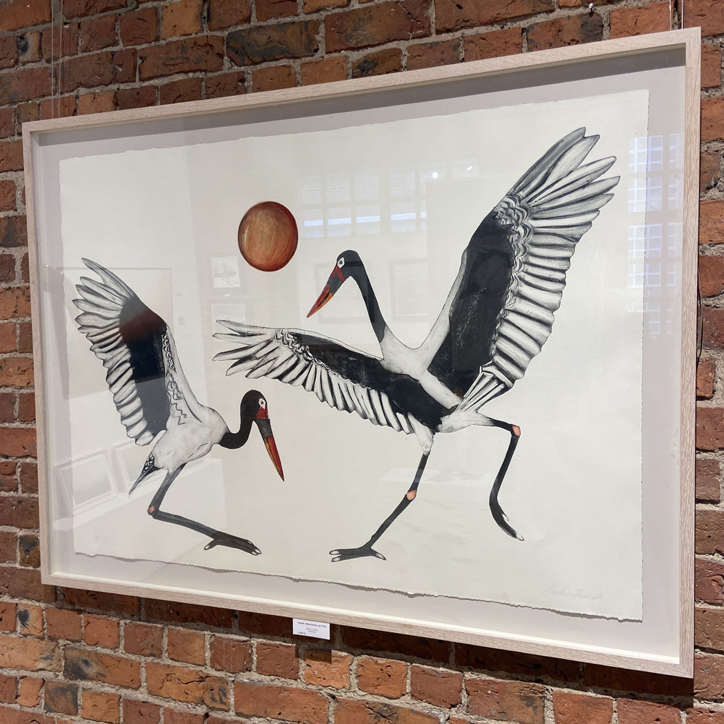 Saddle-billed Storks