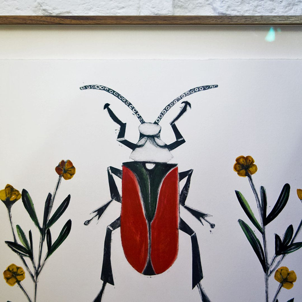 Scarlet Malachite Beetle