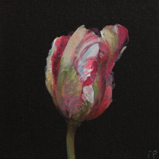 Tulip Study III by Fletcher Prentice | Contemporary Painting for sale at The Biscuit Factory Newcastle 