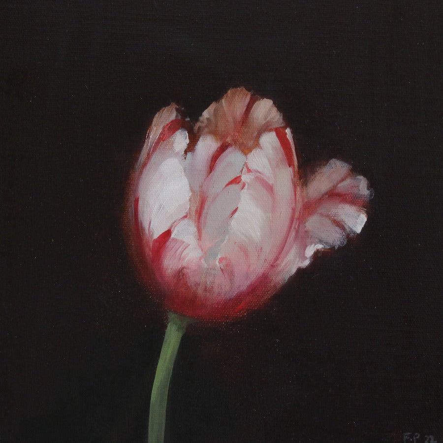 Tulip Study by Fletcher Prentice | Contemporary Nature inspired paintings for sale at The Biscuit Factory Newcastle 