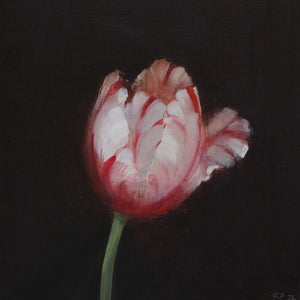 You added <b><u>Tulip Study</u></b> to your cart.