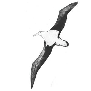 You added <b><u>Wandering Albatross II (Flying)</u></b> to your cart.