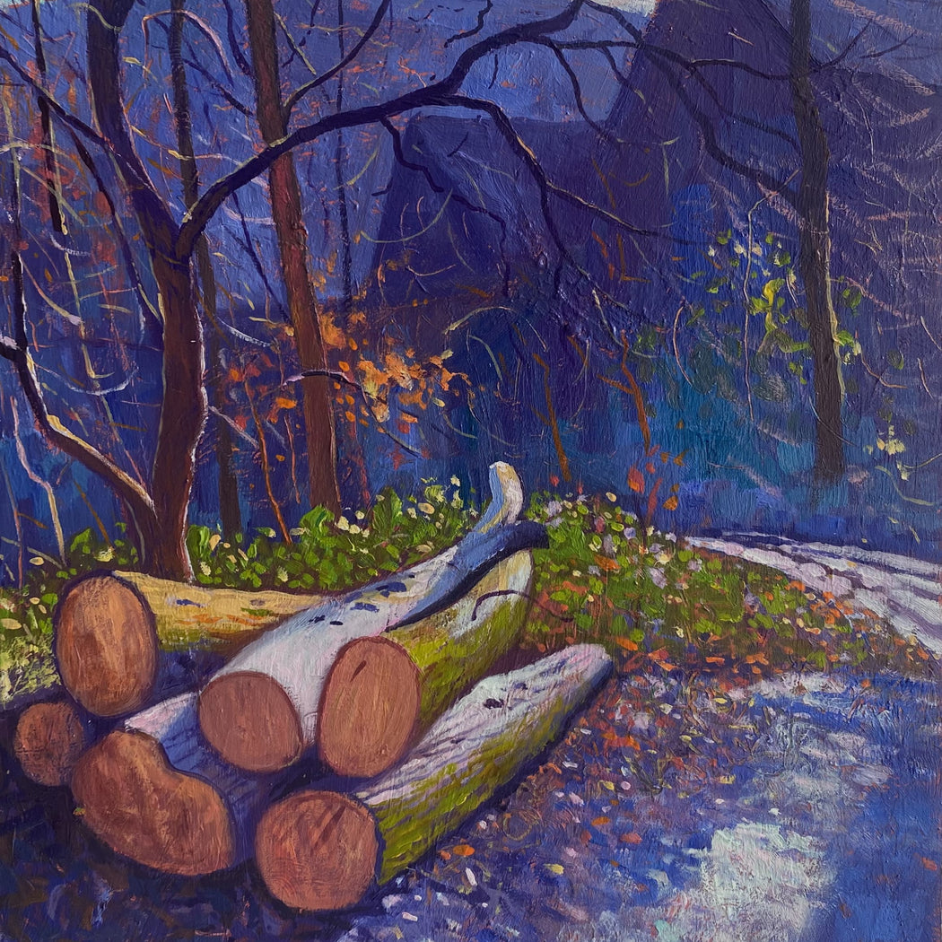 Painting of logs on a forest floor with trees and mountains in the background