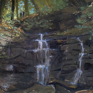 You added <b><u>Waterfall</u></b> to your cart.