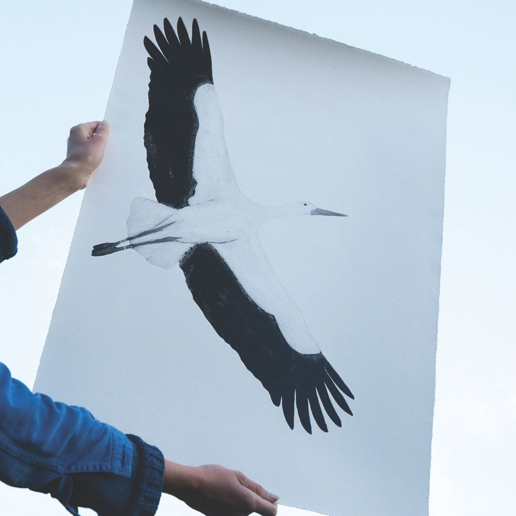 White Stork II (Flying)