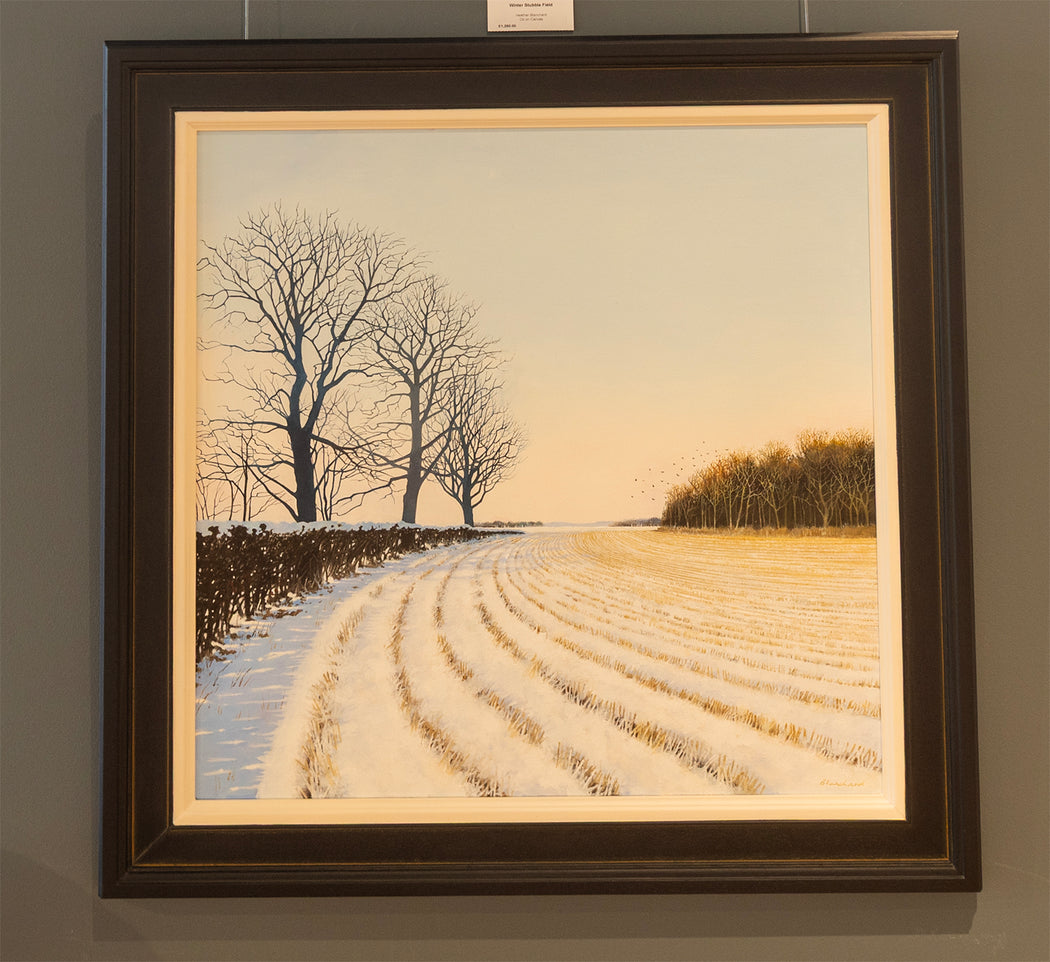 Winter Stubble Field