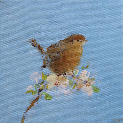 Wren On Blossom