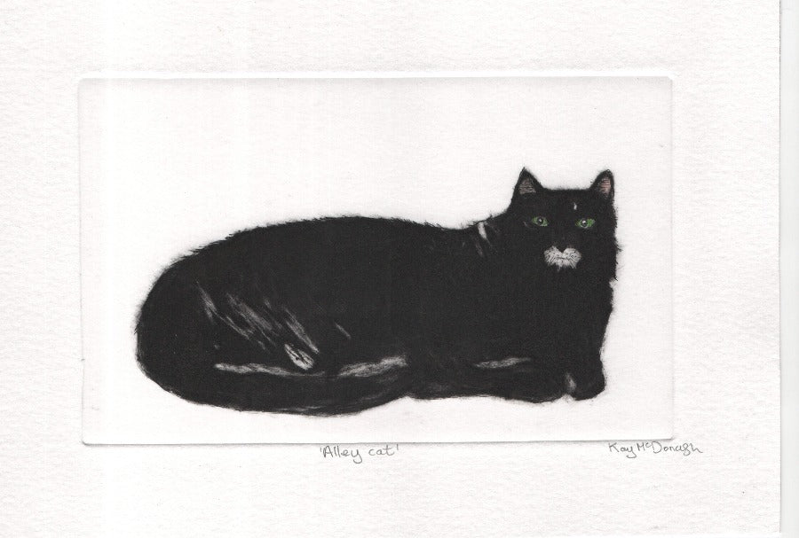 Alley Cat by May McDonagh | Ethcings prints for sale at The Biscuit Factory Newcastle