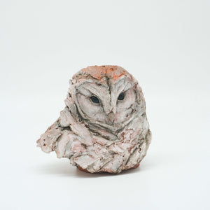 You added <b><u>Barn Owl</u></b> to your cart.