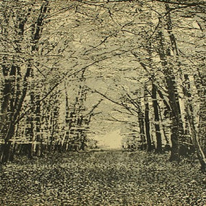 You added <b><u>Beechwood II</u></b> to your cart.
