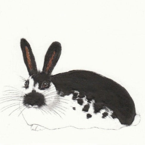 Big Ears by Kay McDonagh | Contemporary prints for sale at The Biscuit Factory Newcastle 