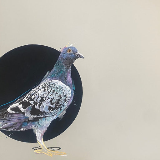 Charlie Pigeons by Darren Dearden | Contemporary Animal painting for sale at The Biscuit Factory Newcastle 