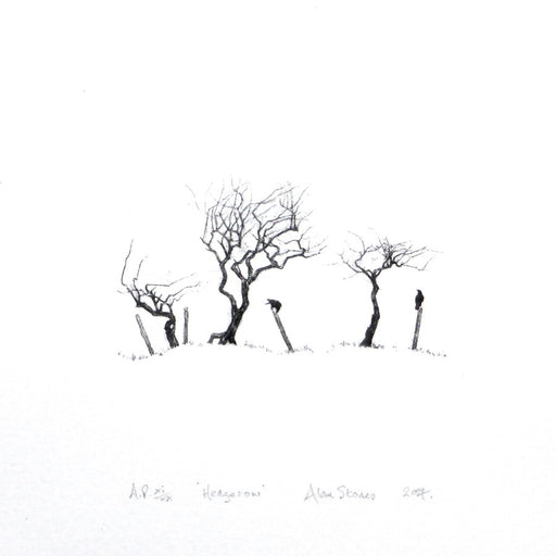 Hedgerow by Alan Stones | Contemporary Lithograph for sale at The Biscuit Factory Newcastle 