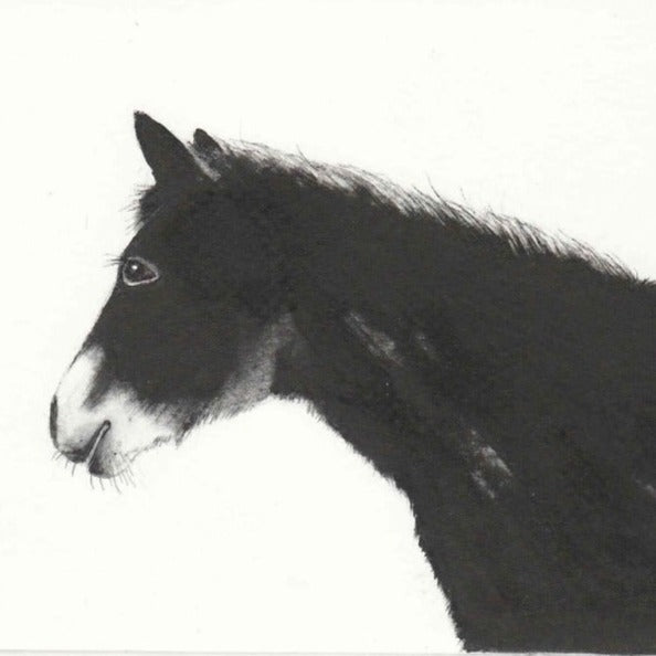 Horace by Kay McDonagh | Contemporary etchings for sale at The Biscuit Factory Newcastle 