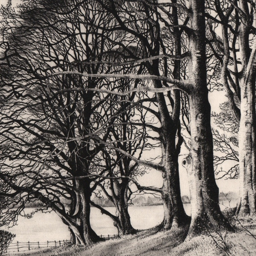 January Beeches by Pamela Grace | Contemporary handmade prints for sale at The Biscuit Factory Newcastle 