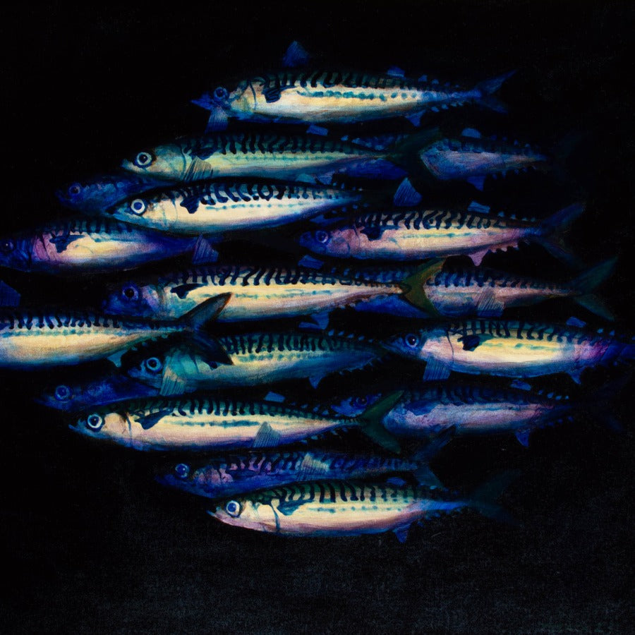 Mackerel Shoal XXXVIII by Andrew Tyzack | Contemporary Painting for sale at The Biscuit Factory Newcastle 