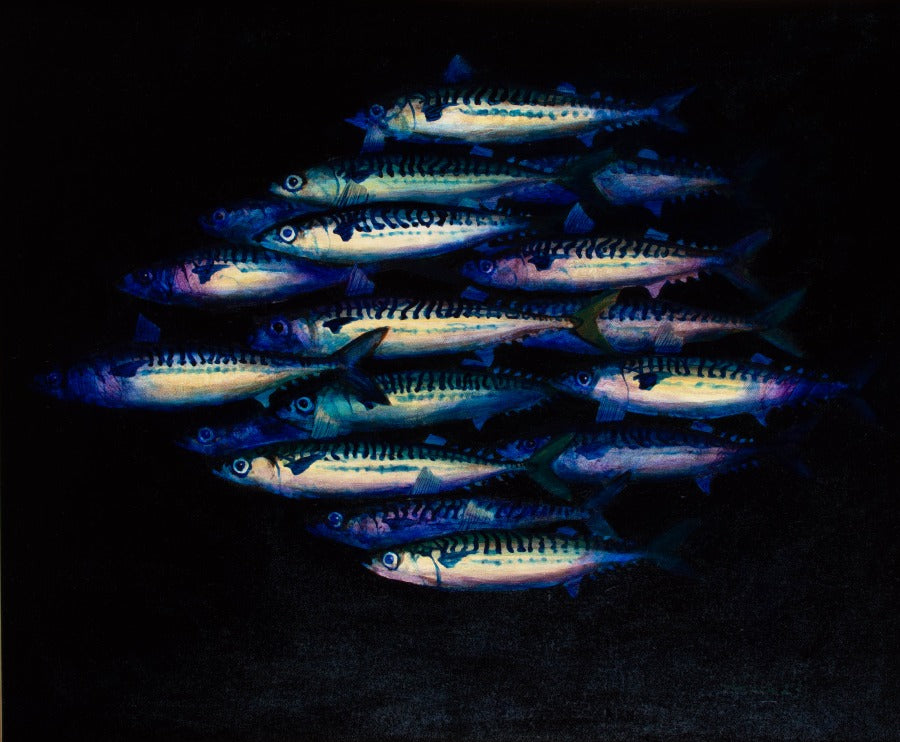 Mackerel Shoal XXXVIII by Andrew Tyzack | Contemporary Painting for sale at The Biscuit Factory Newcastle